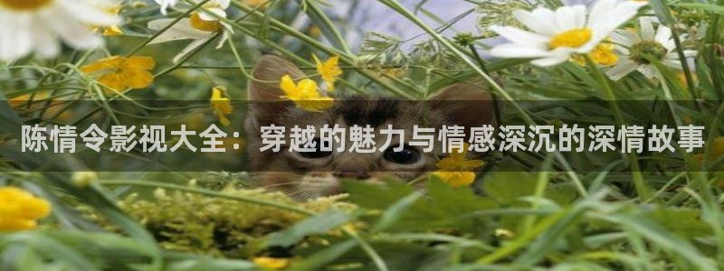 电视剧为有暗香来大地影院