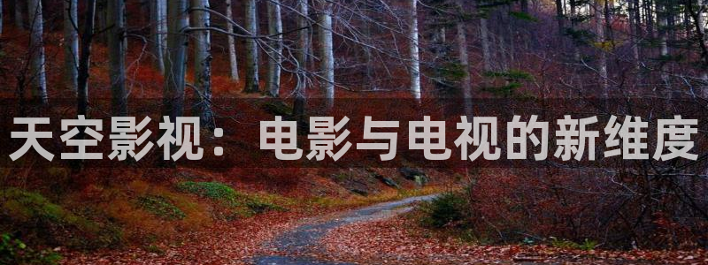 大地影院免费观看电视在线视频