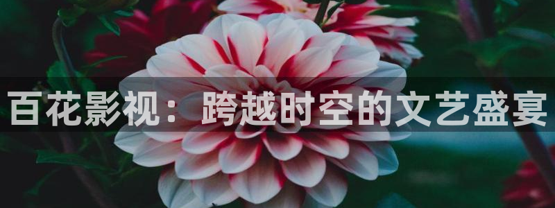 大地影视资源在线观看高清