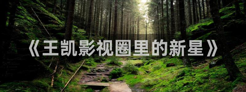 鲁大师大地影院2免费观看
