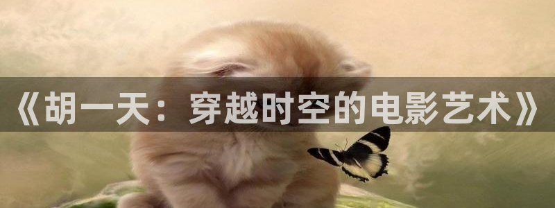 大地二资源在线影视免费观看：《胡一天：穿越时空的电影艺术》