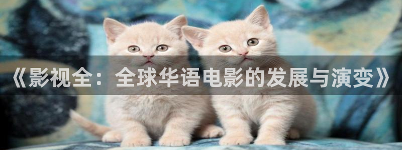 大地私人影院：《影视全：全球华语电影的发展与演变》