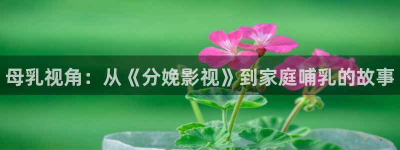 大地资源最新高清大全：母乳视角：从《分娩影视》到家庭哺乳的故事