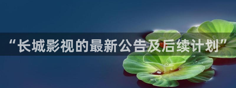 大地影院观看：“长城影视的最新公告及后续计划”